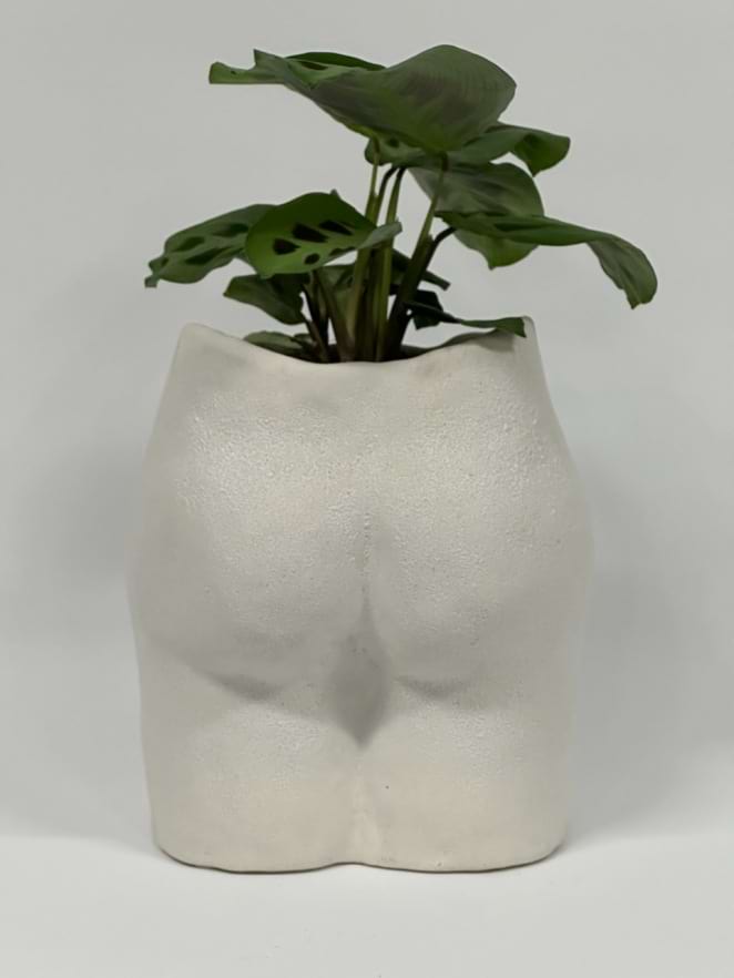 Back